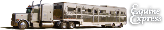 Equine Express Logo Image